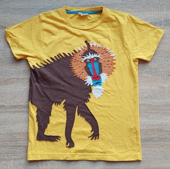 2011 euc Mini Boden baboon tee - Picture 2 of 12